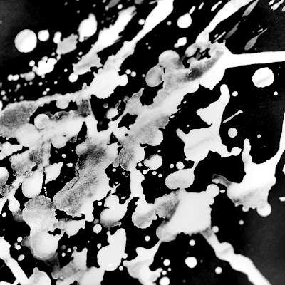 PLASTICZOOMS